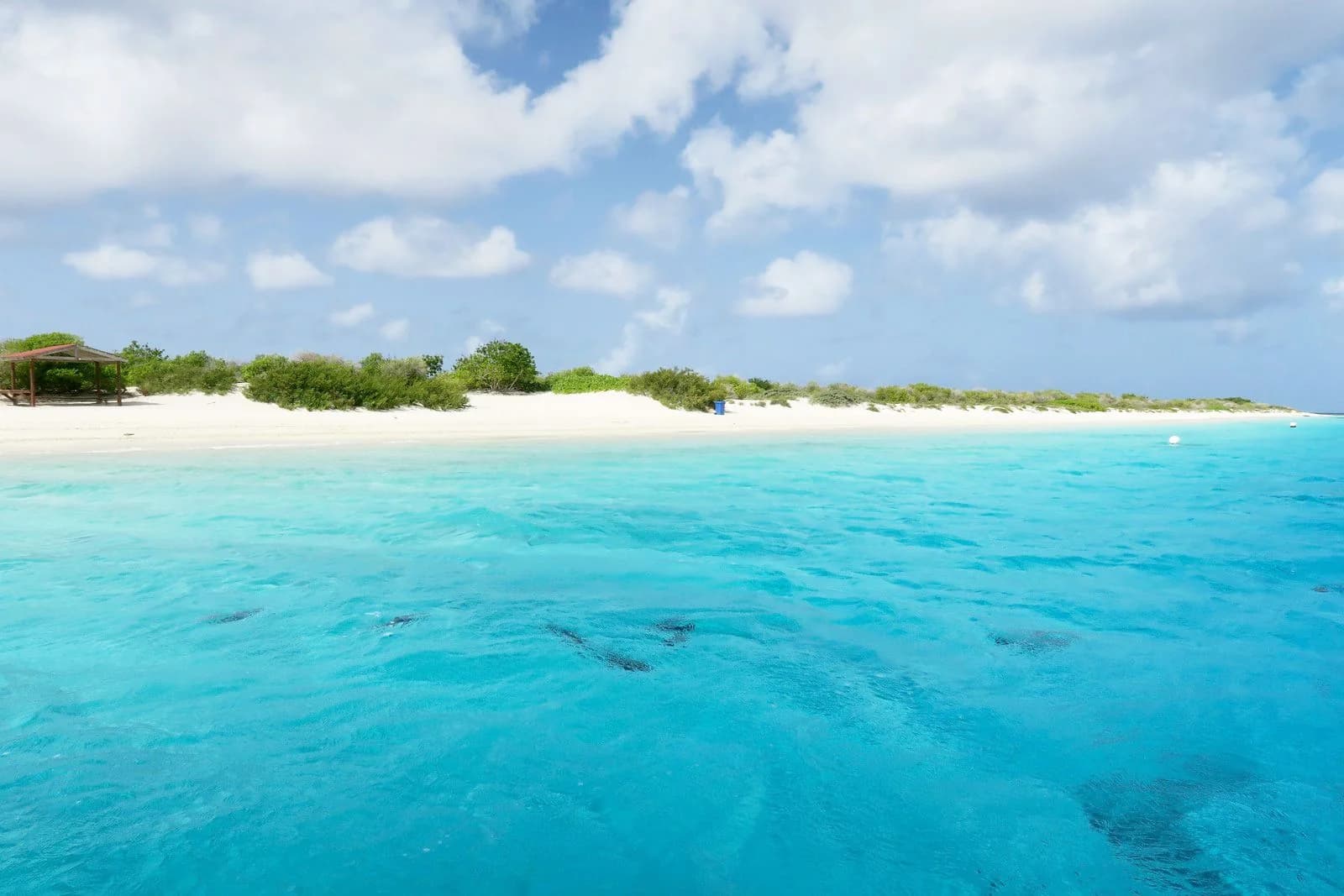 Hero image for Bonaire, saint Eustatius and Saba