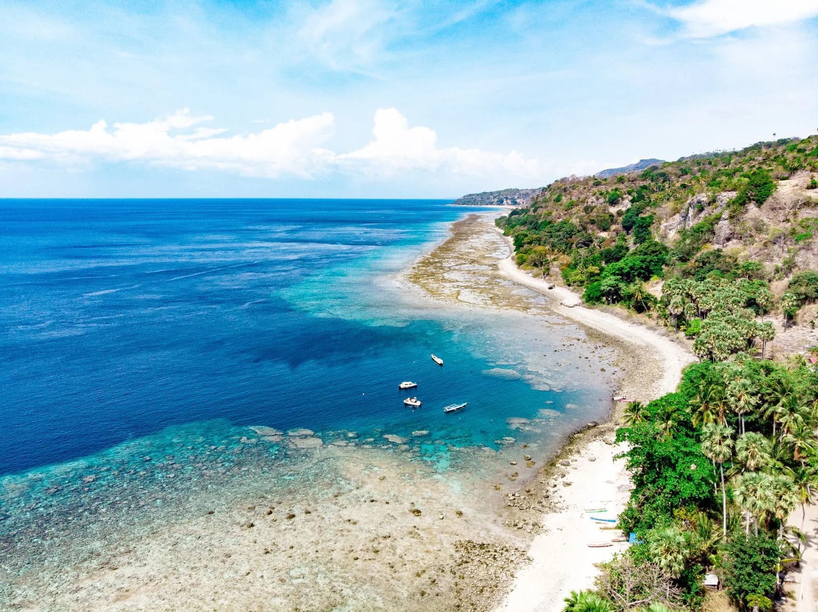 Hero image for Ivory Coast