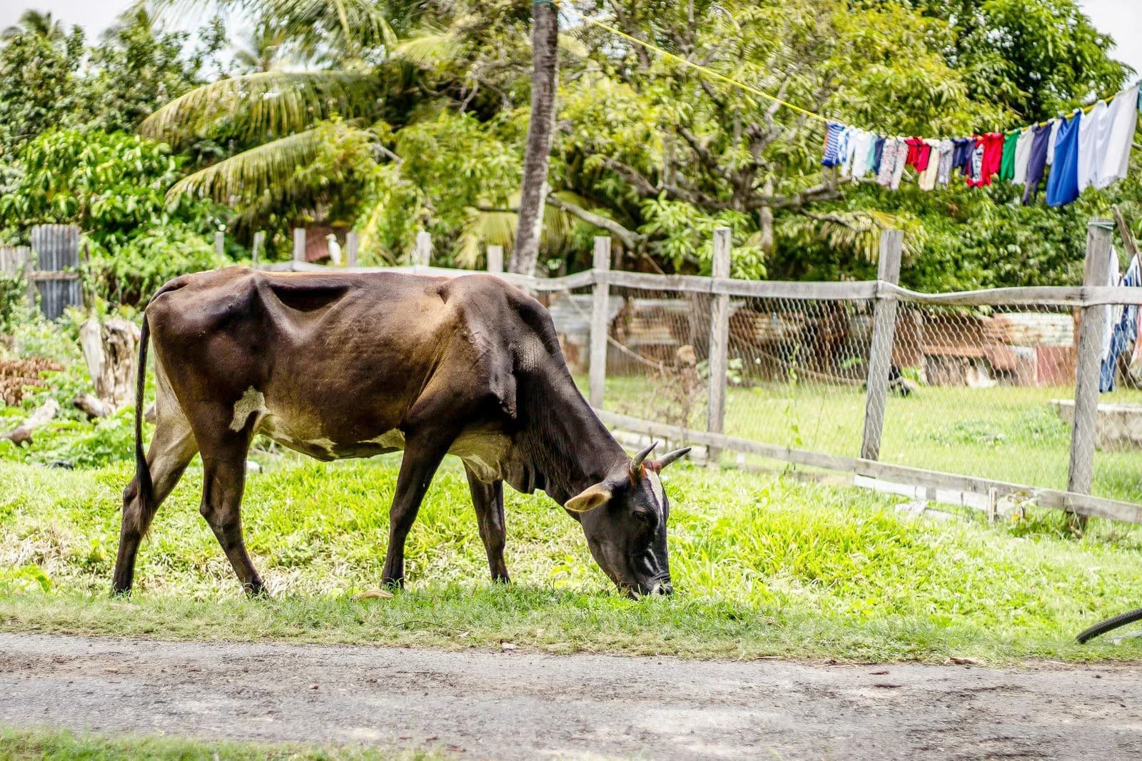 Hero image for French Guiana
