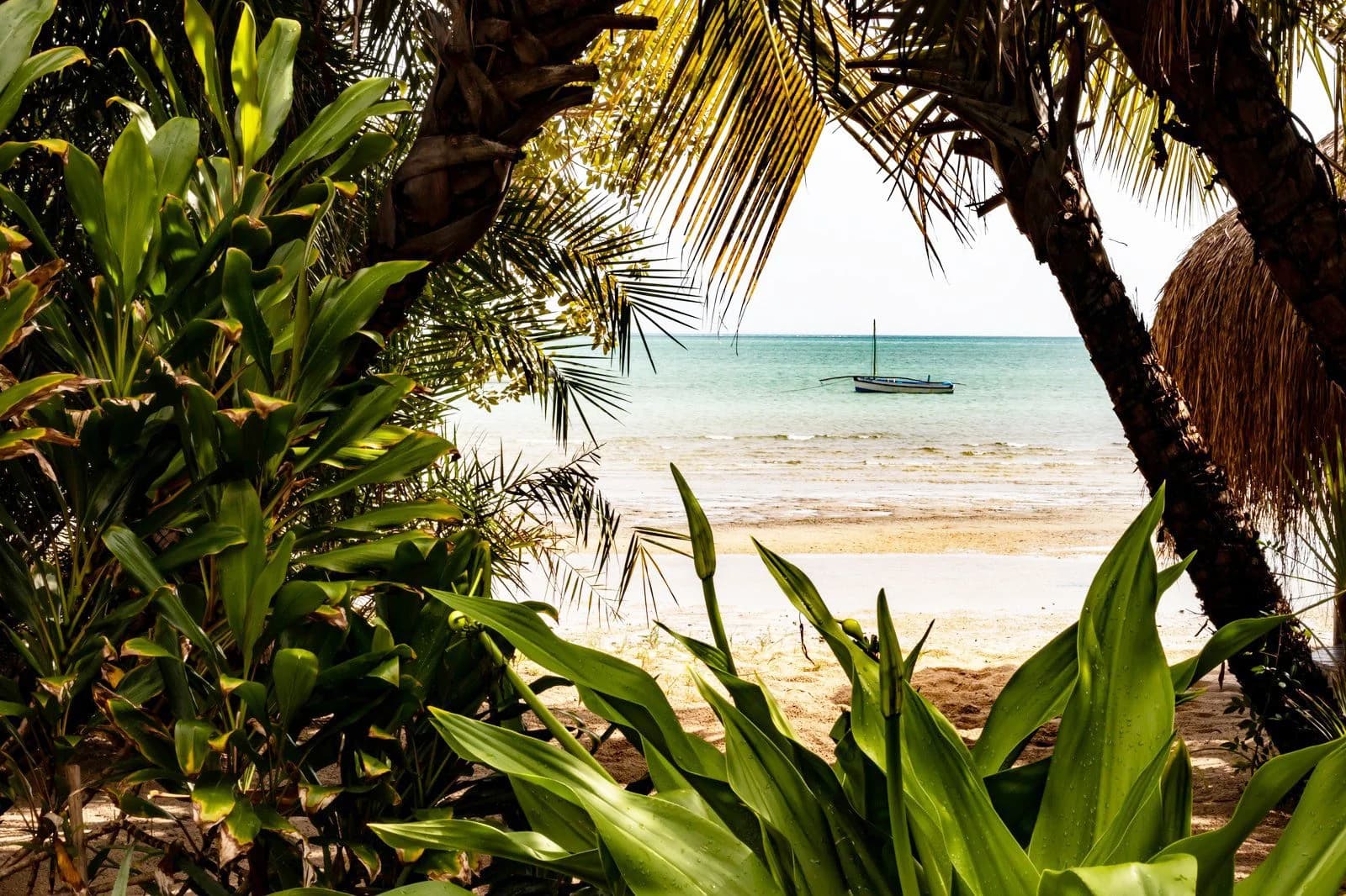 Hero image for Mozambique