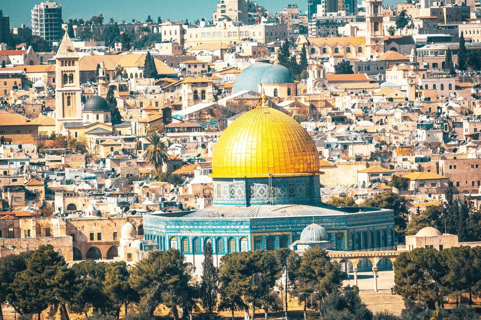 Hero image for Palestine