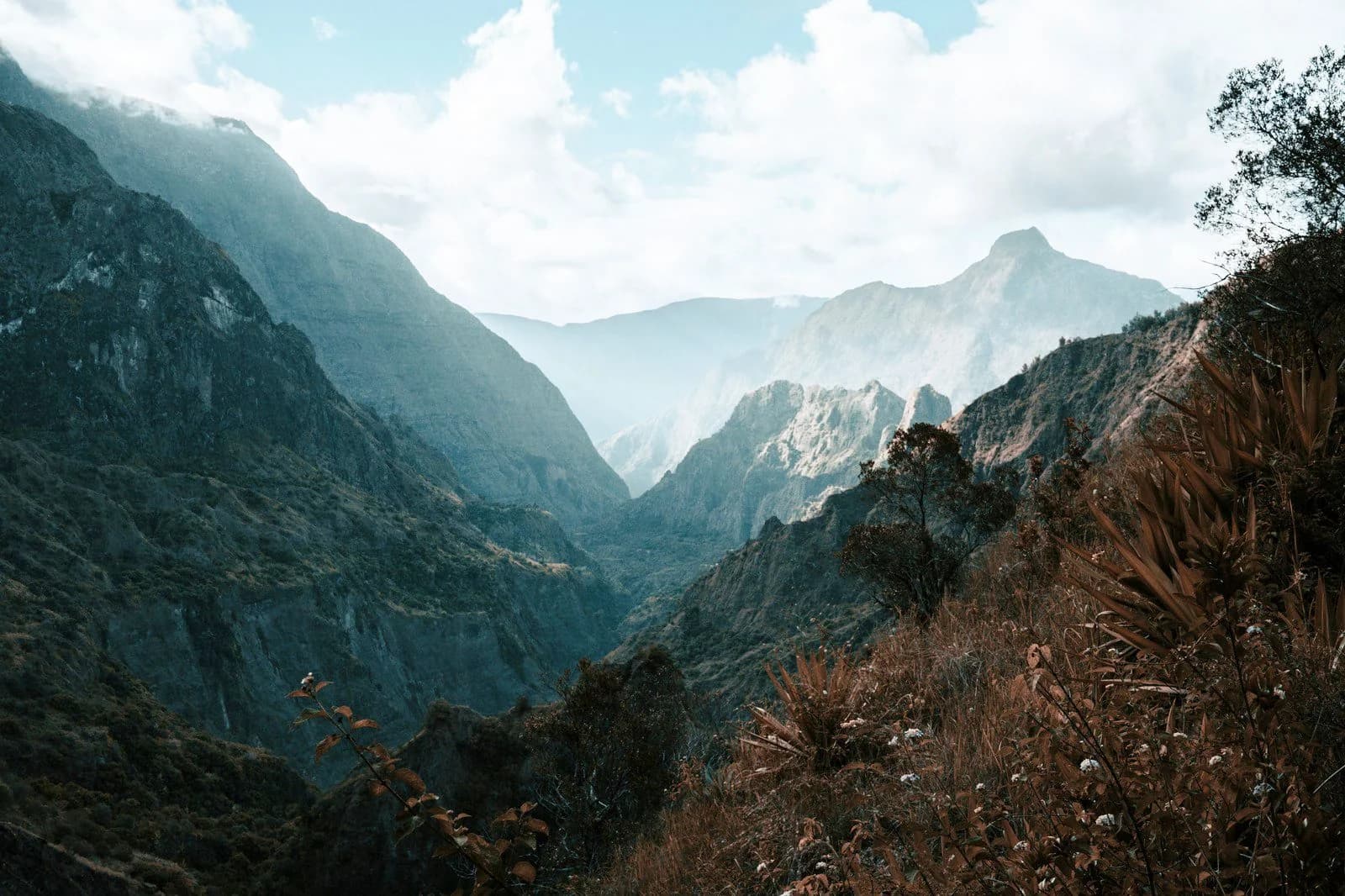 Hero image for Reunion