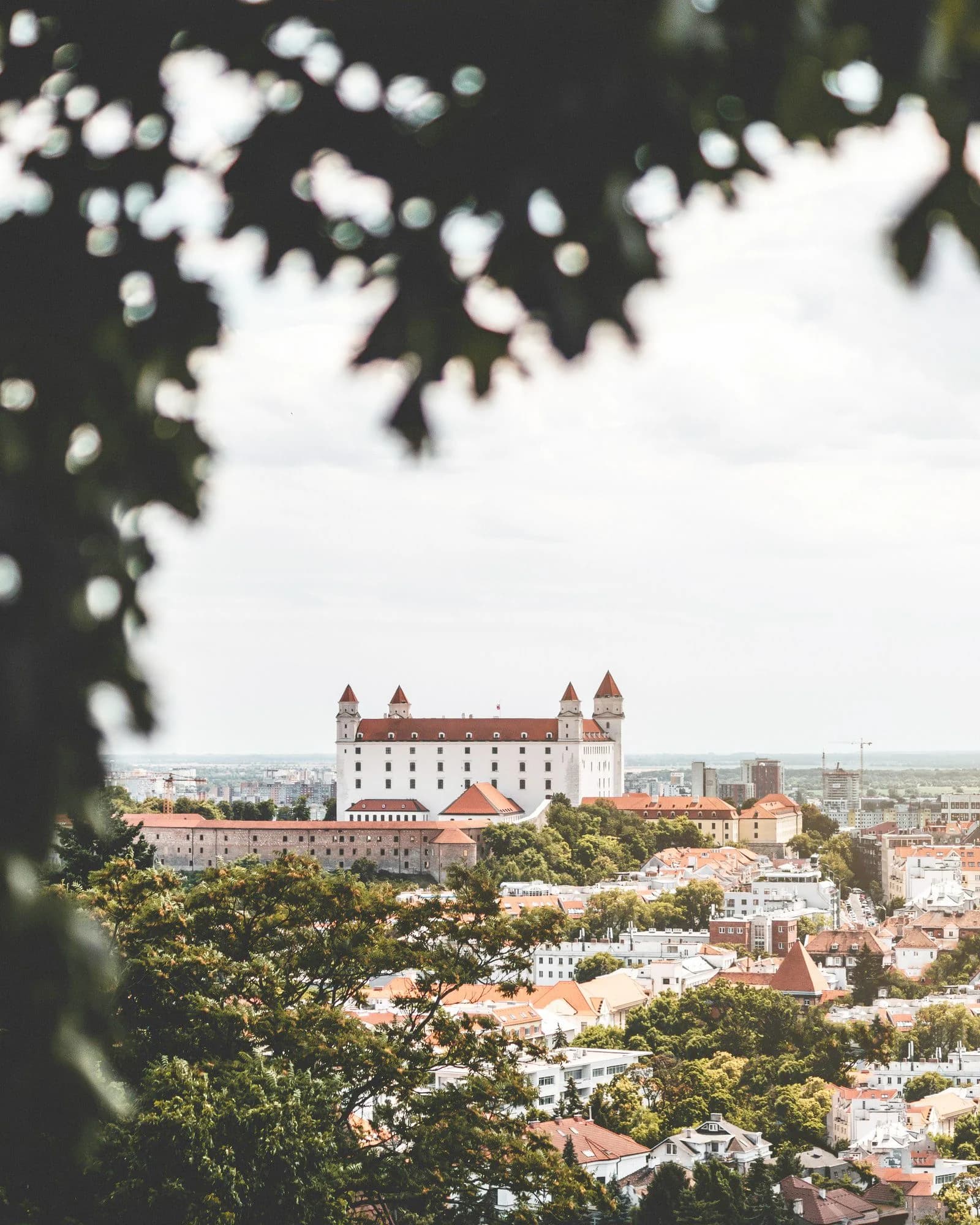 Hero image for Slovakia