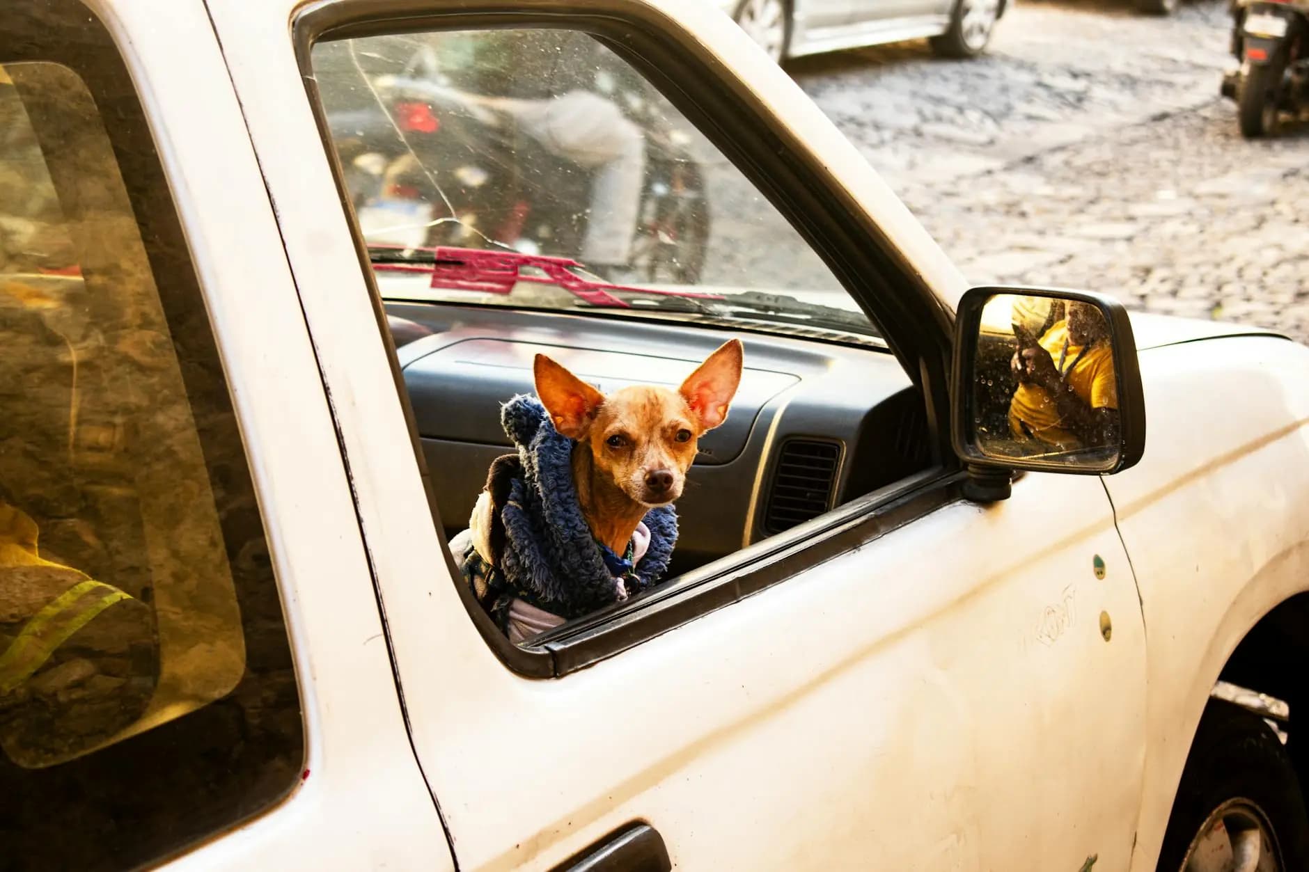 Hero image for Antigua And Barbuda