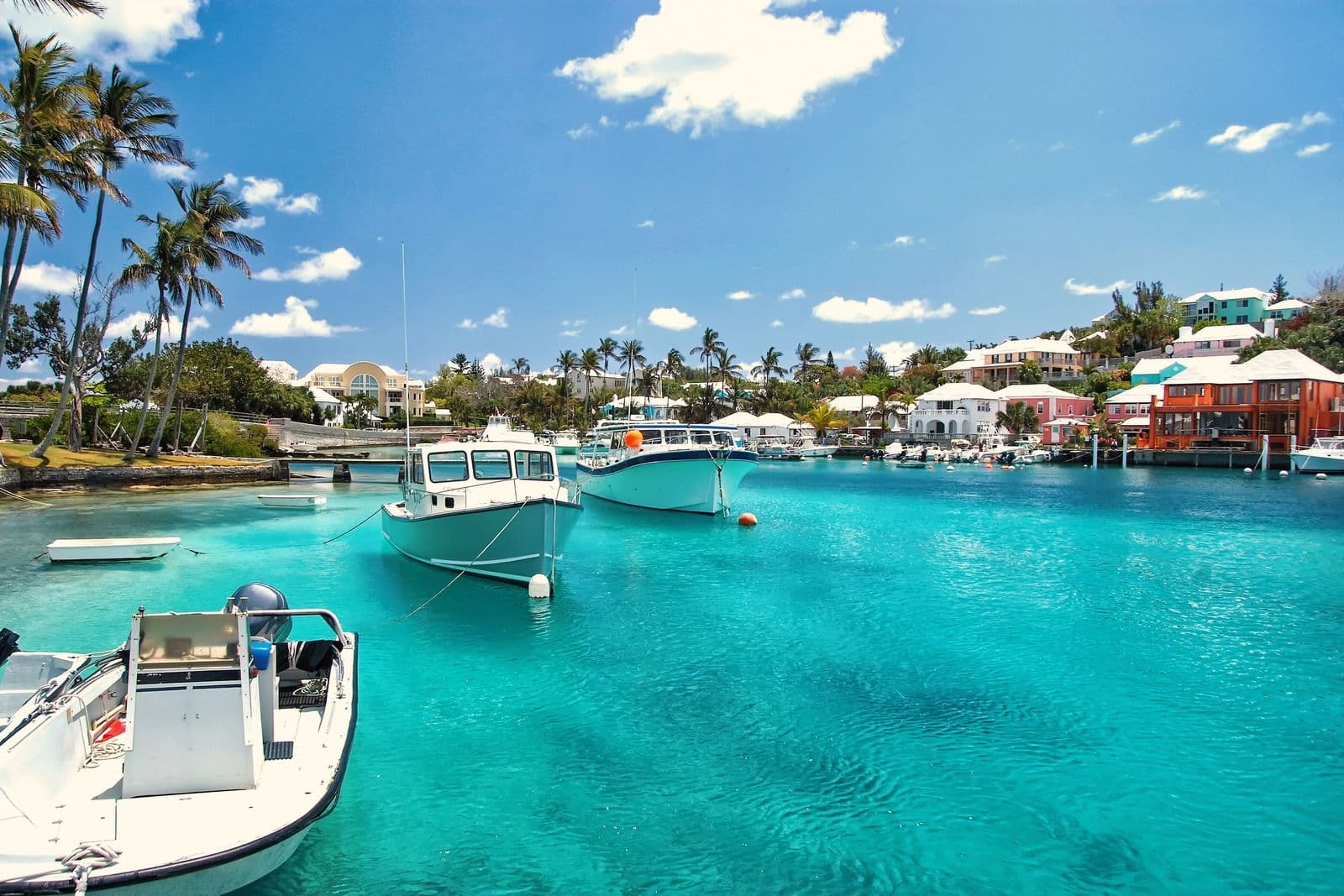 Hero image for Bermuda