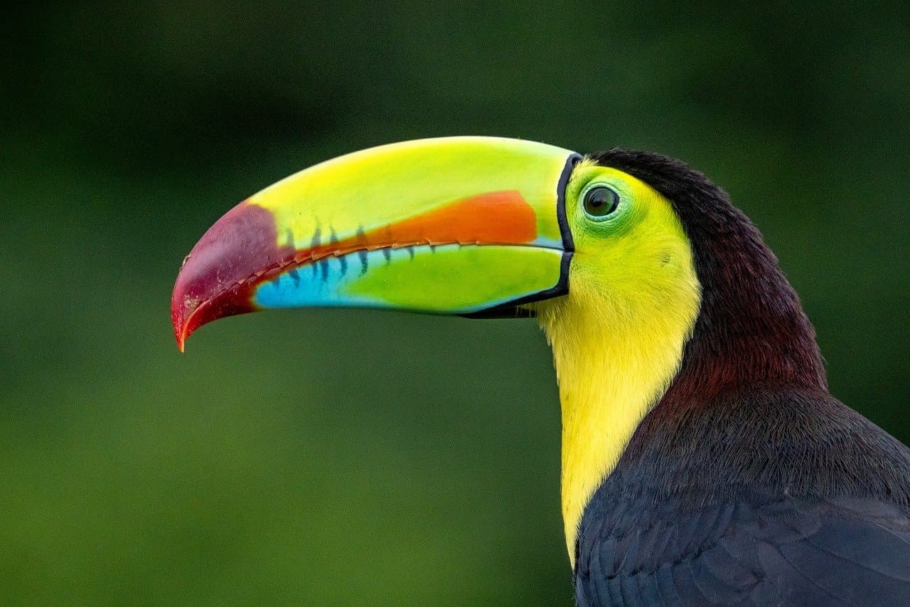 Hero image for Costa Rica