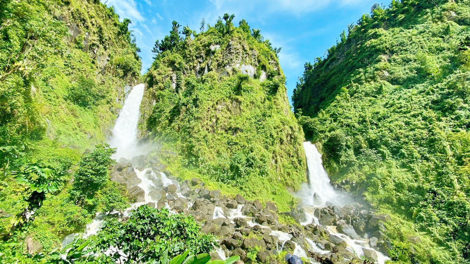 Hero image for Dominica