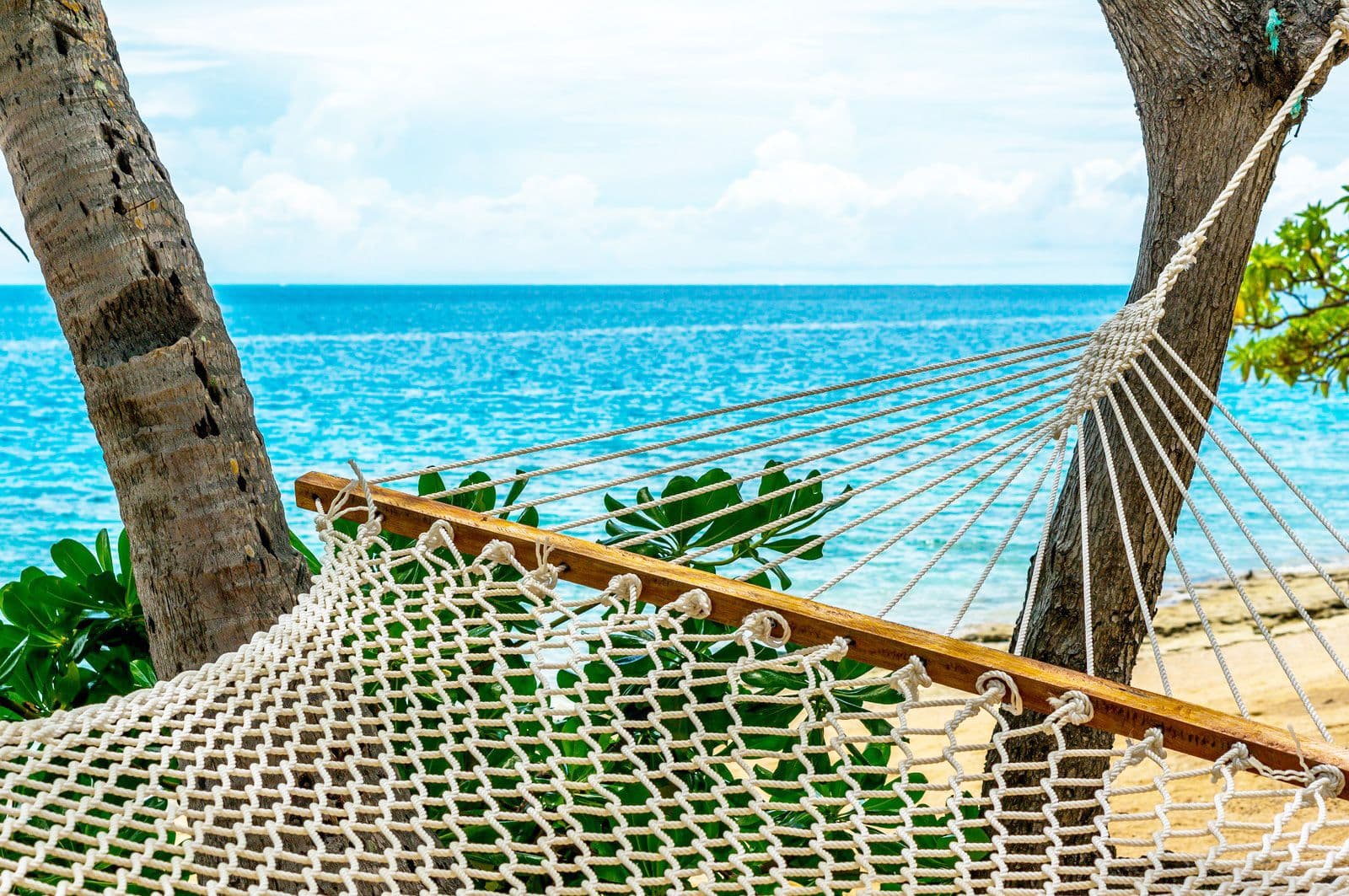 Hero image for Fiji