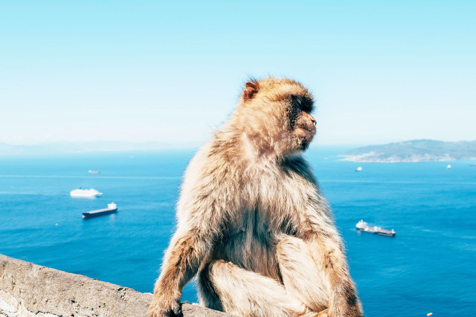 Hero image for Gibraltar