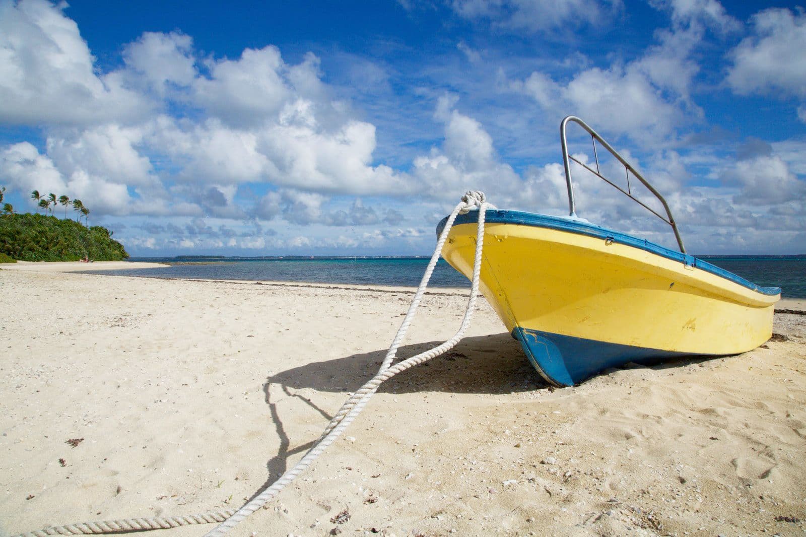 Hero image for Tonga