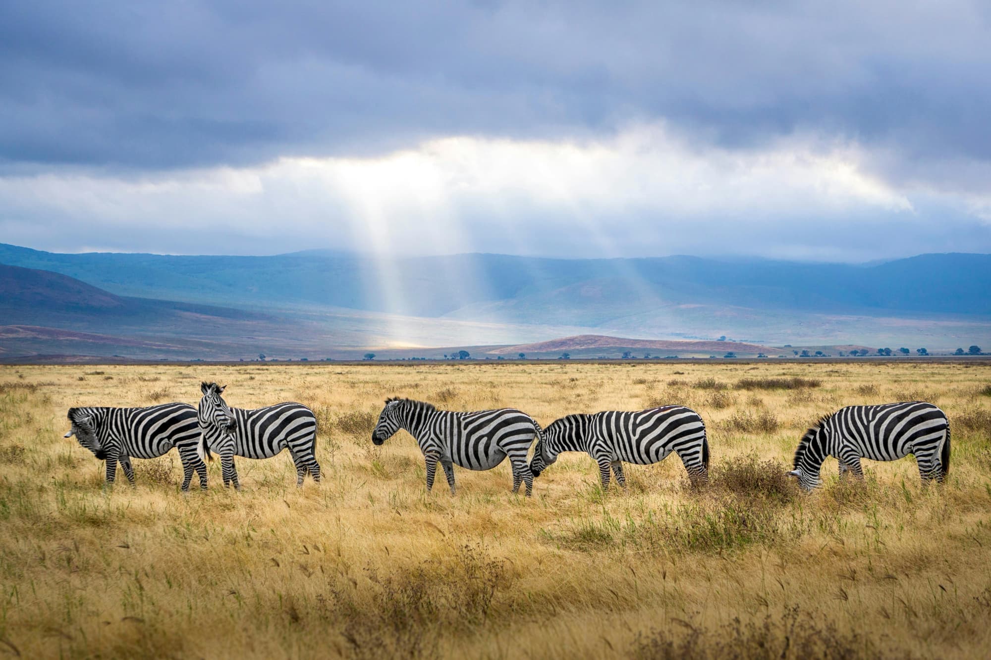 Hero image for Tanzania-United Republic of
