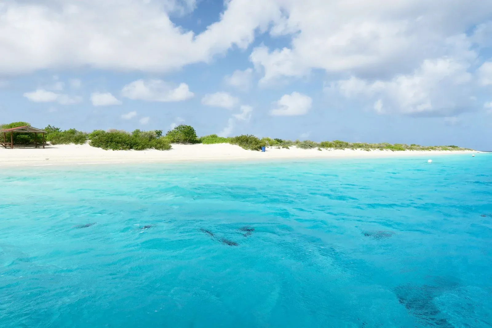 Hero image for Bonaire, saint Eustatius and Saba