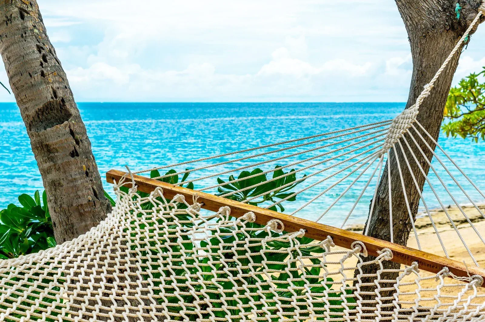 Hero image for Fiji