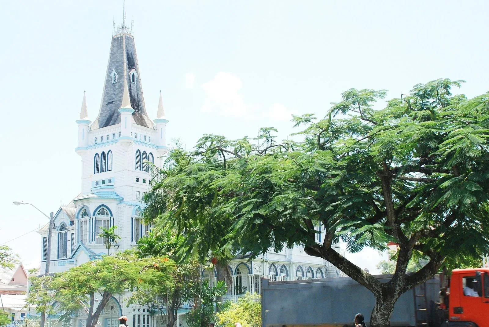 Hero image for Guyana