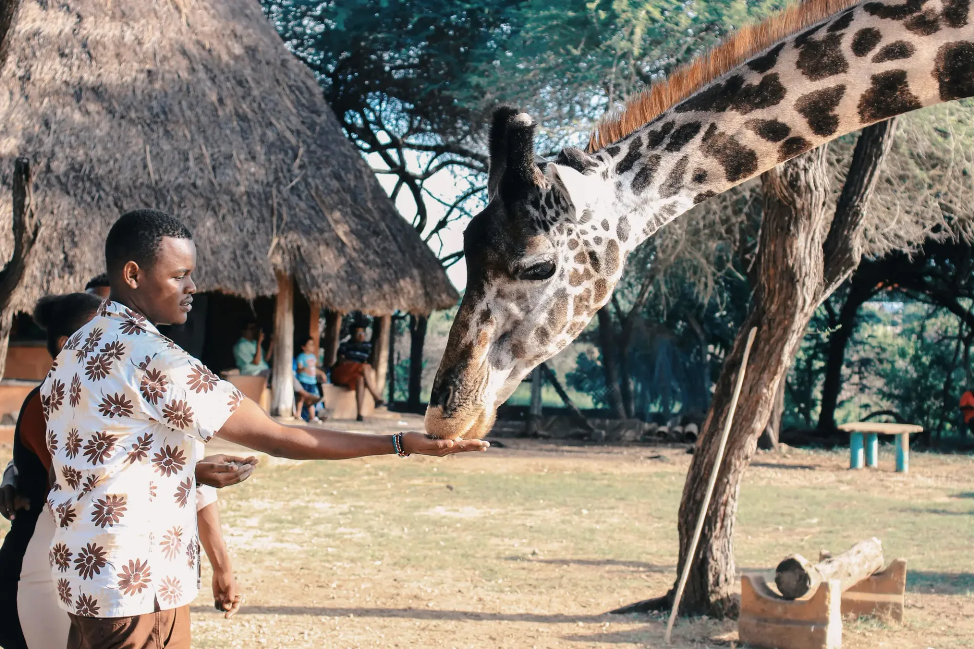 Hero image for Kenya