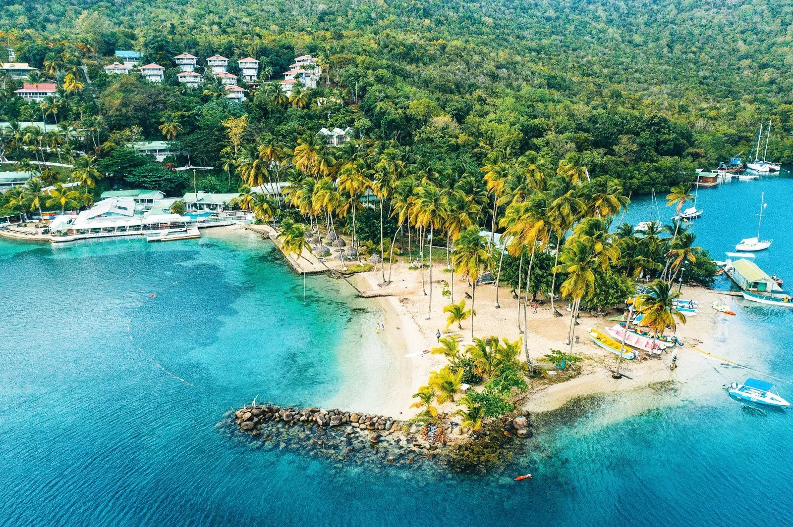 Hero image for Saint Kitts And Nevis