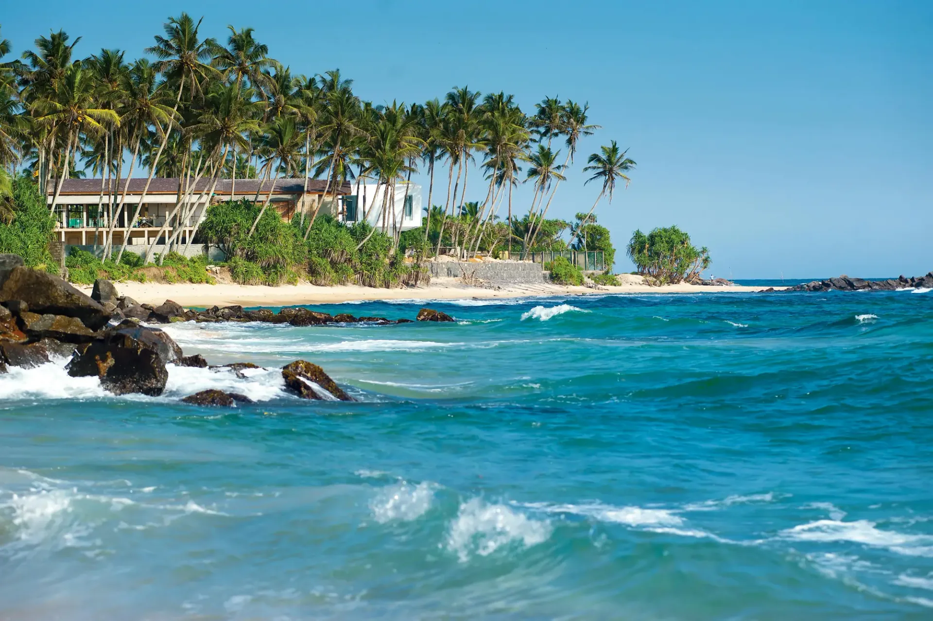 Hero image for Sri Lanka