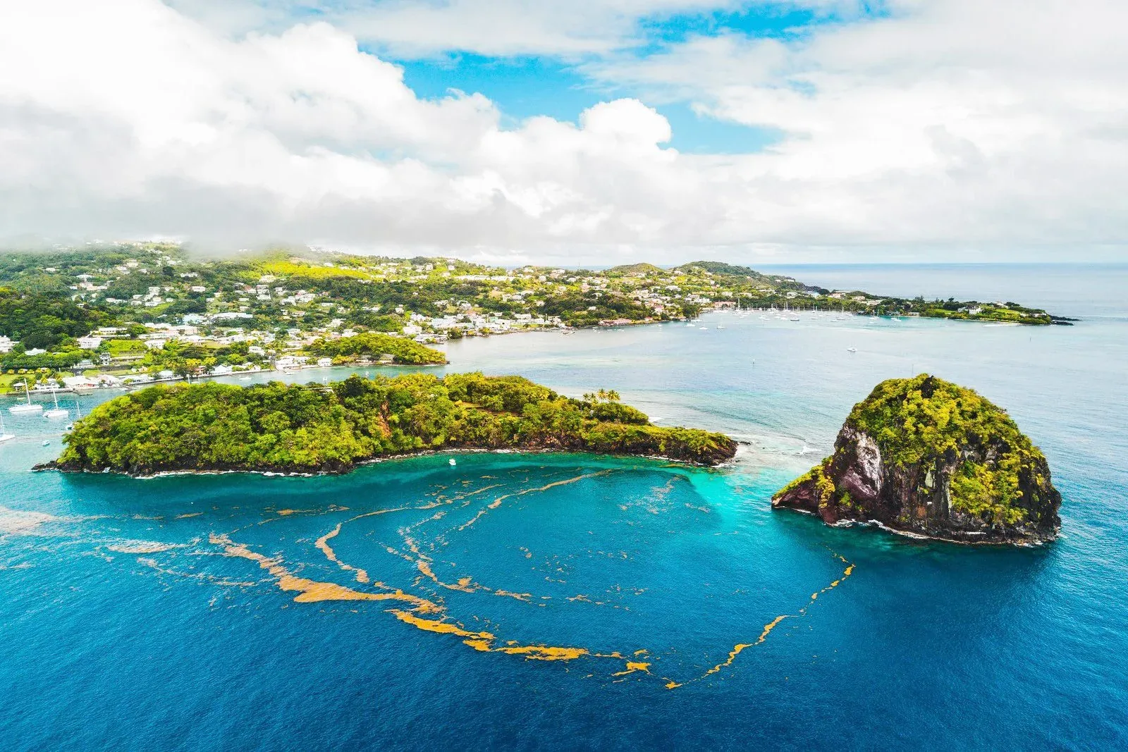 Hero image for Saint Vincent And The Grenadines
