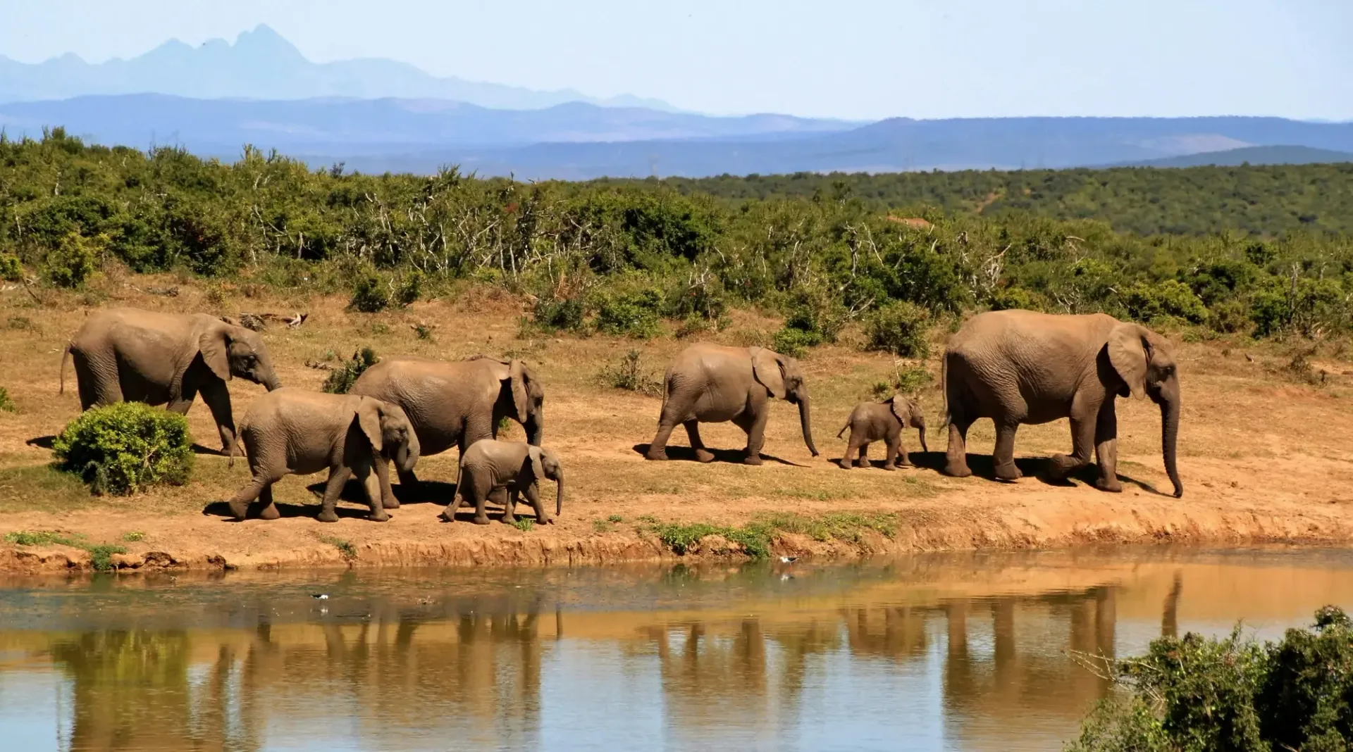 Hero image for South Africa