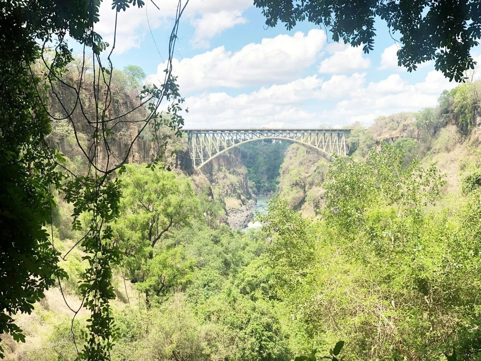 Hero image for Zambia